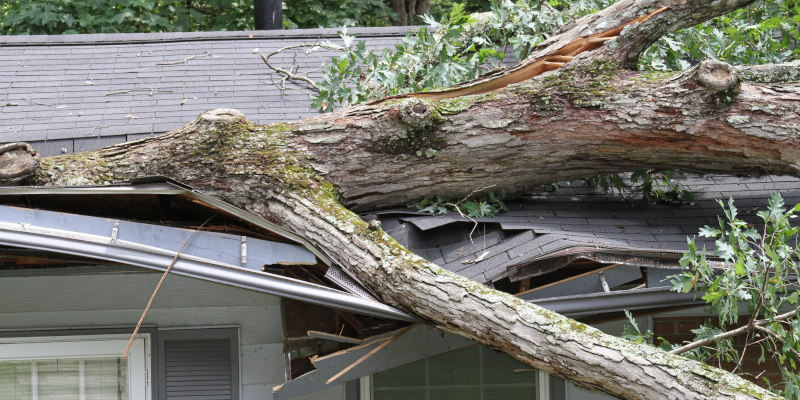 Storm Damage Insurance Claims in Houston, Texas