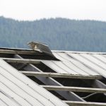 Wind Damage Insurance Claims in Houston, Texas