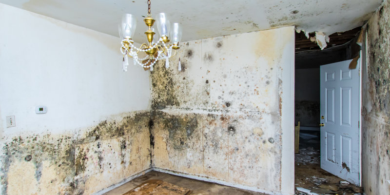 Water Damage Restoration in Houston, Texas